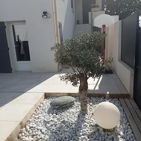 Ferienwohnung Les Lauriers Roses Fontvieille Exterior foto
